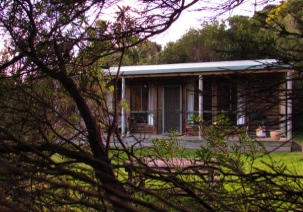 Close up of outside