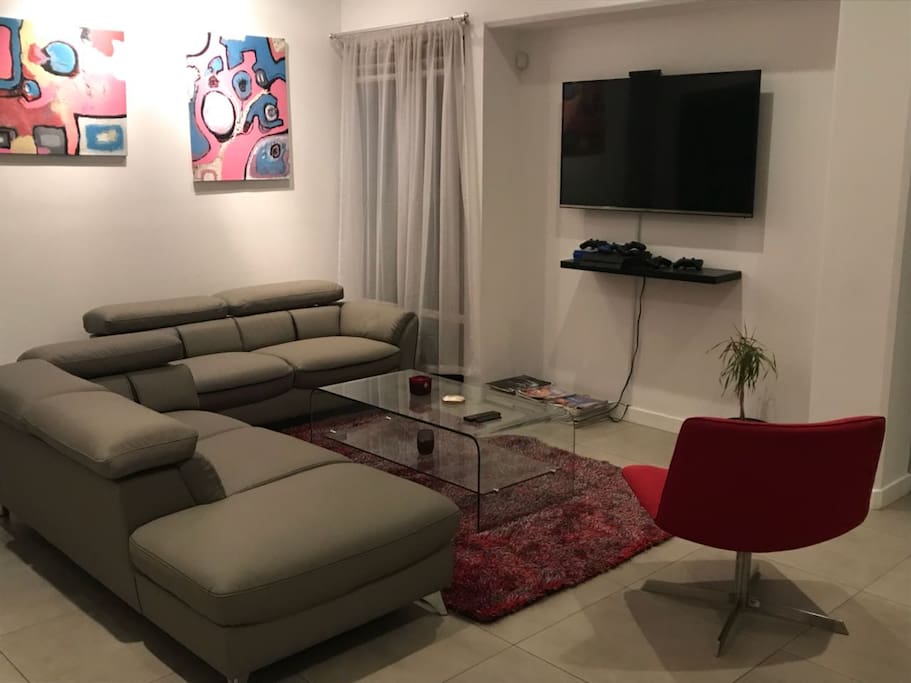 big and nice living room