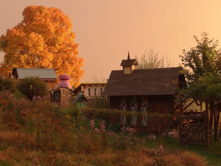 Experience the cool fall weather and colors