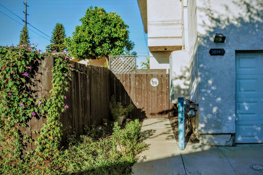 Entry in alley
