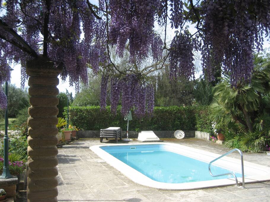 vista de la piscina desde la pérgola