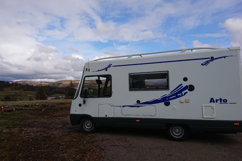 Arto - Side view