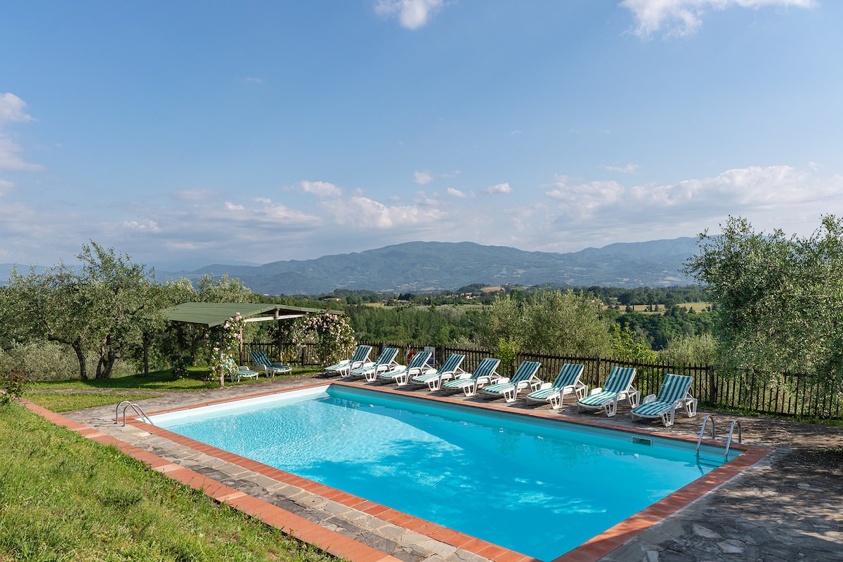 A private swimming pool is framed by a grassy area and olive trees, with a scenic view of rolling hills in the background. Sunbeds are arranged around the pool, providing ample space for relaxation, and a shaded area is available nearby for comfort during sunny days.