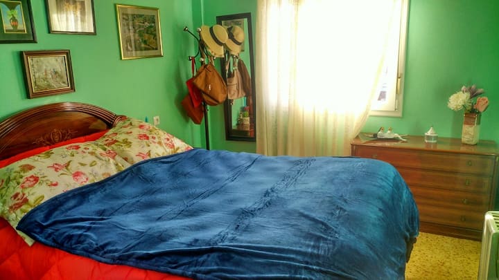 Малка стая, в центъра на града. – изображение 1