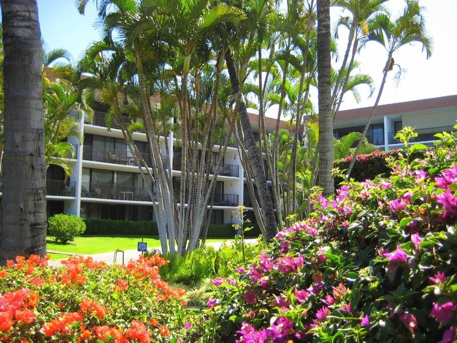 The Maui Parkshore resort is smaller and has better access to the ocean then most neighboring properties.