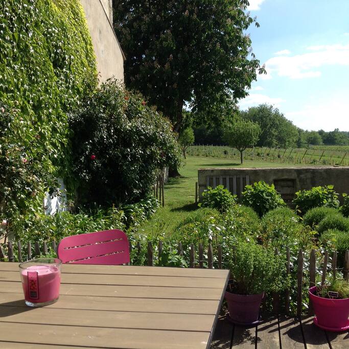 Vue de la terrasse, vers le sud