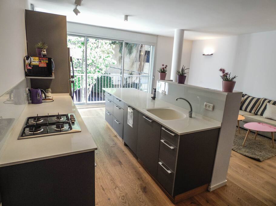 45sqm/480sqft living room with kitchen