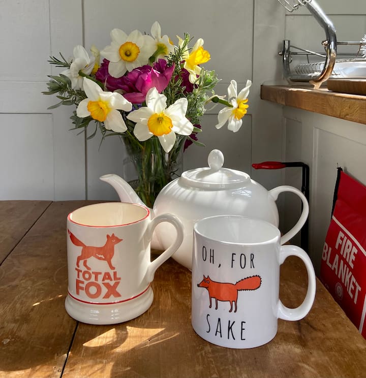 Дневен простор