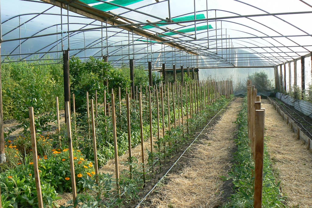 We are certified organic farmers