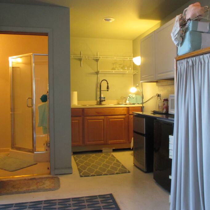 private bathroom, shower and kitchenette