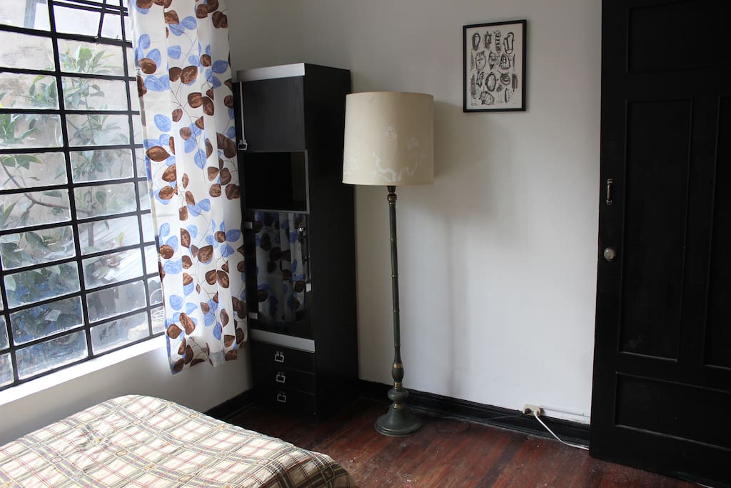 This is the guest room with great lighting, closet, night table, lamp and mini library for extra storage.