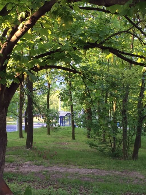 В шаговой доступности остановка троллейбуса
