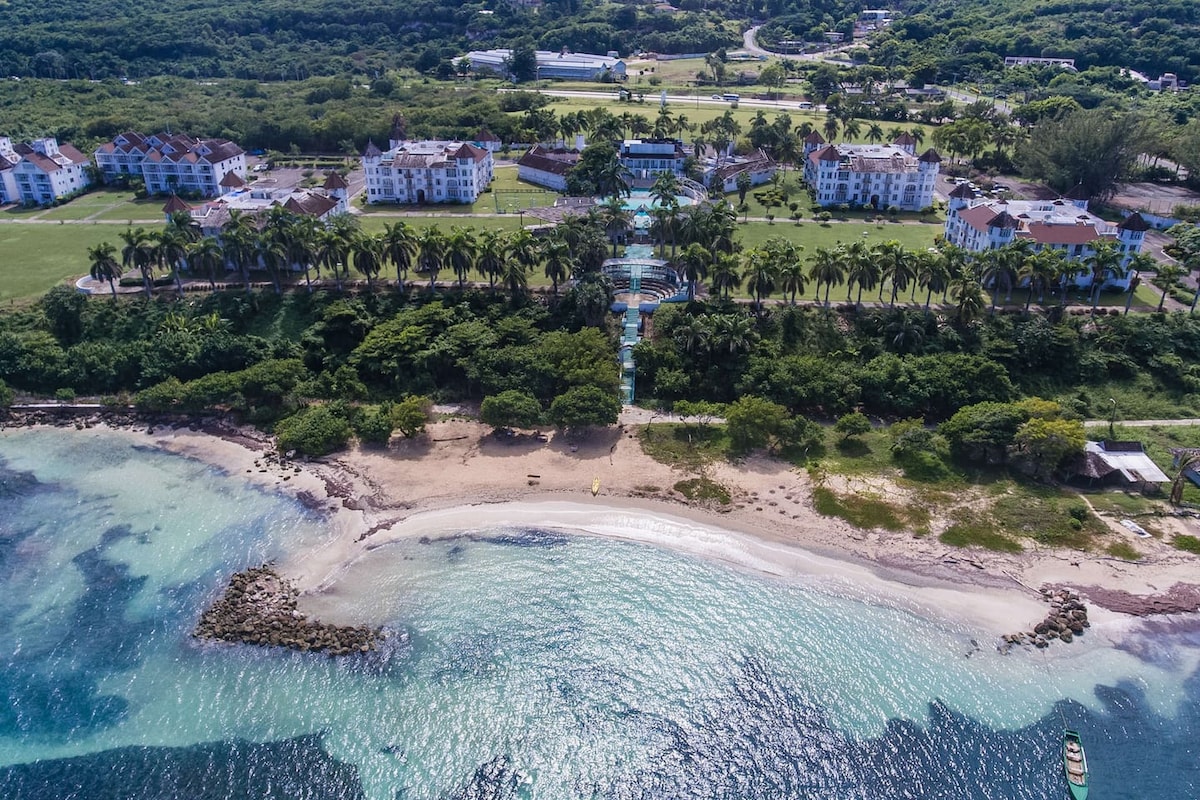 An aerial view captures the resort's layout, featuring lush greenery and palm trees lining the sandy shoreline. The gentle waves lap at the beach, while the property buildings are visible in the background, providing a glimpse of the tranquil setting.