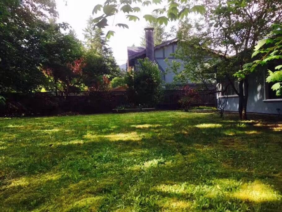 The yard