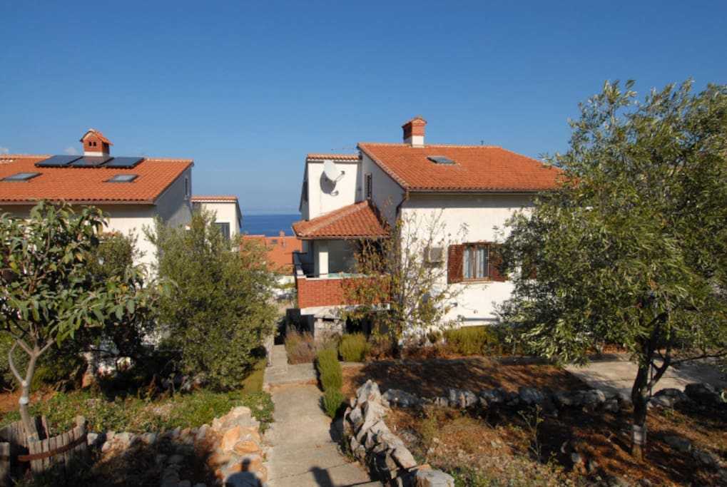 Haus