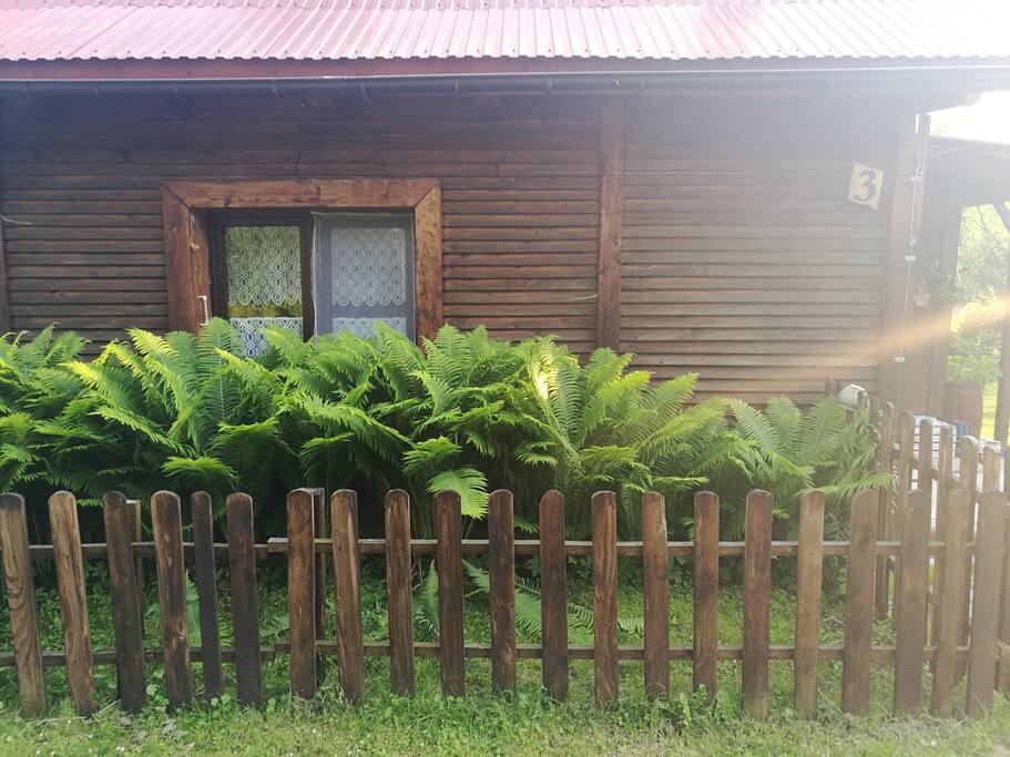 Skorodne 3