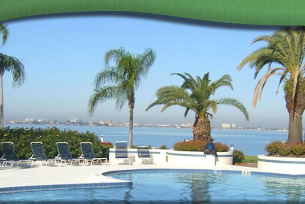 Our swimming pool, overlooking Boca Ciega Bay