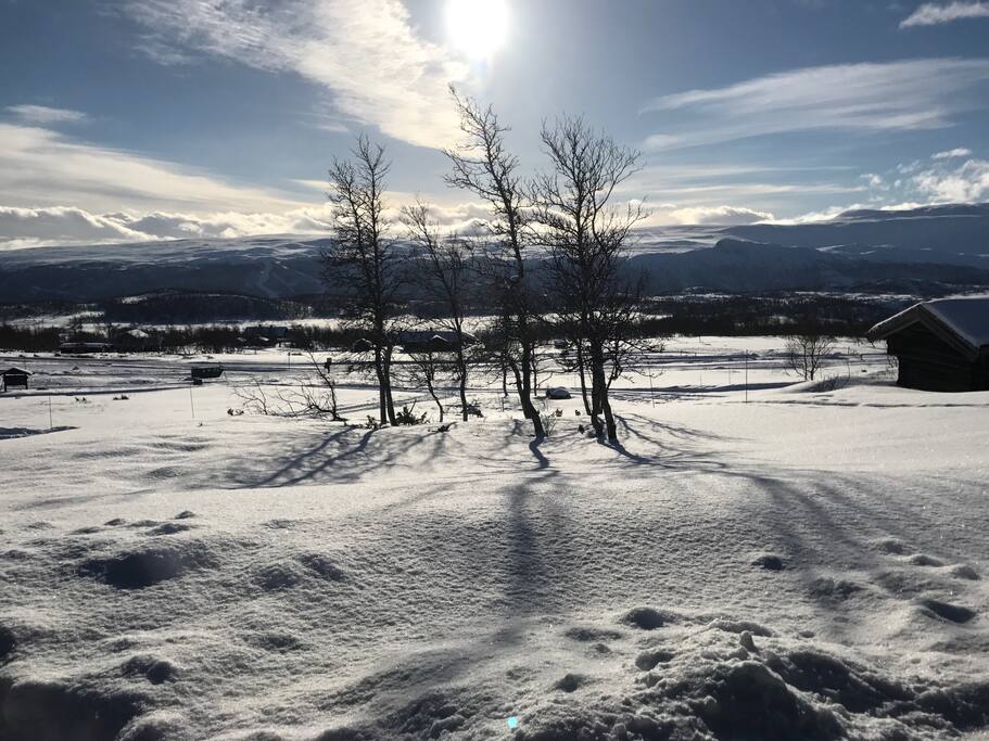 Utsikt fra spisebordet