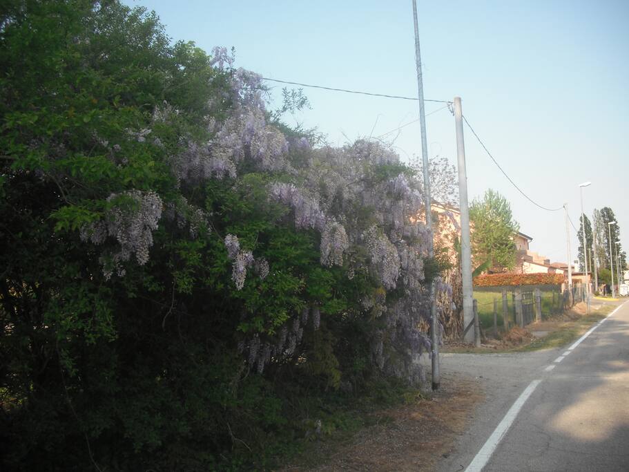 Ingresso sulla strada