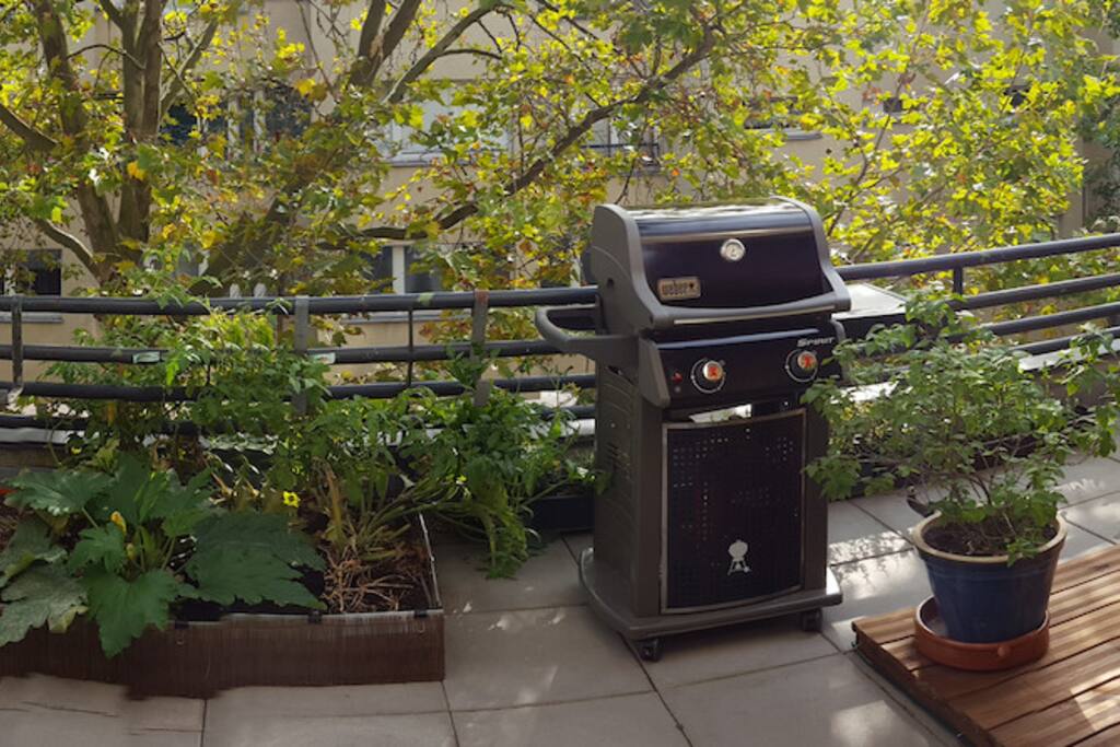 Terrasse