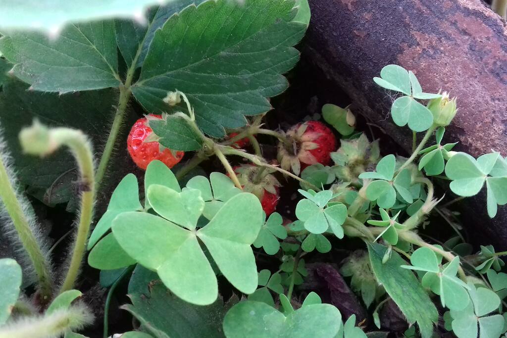 En contacto con la naturaleza.