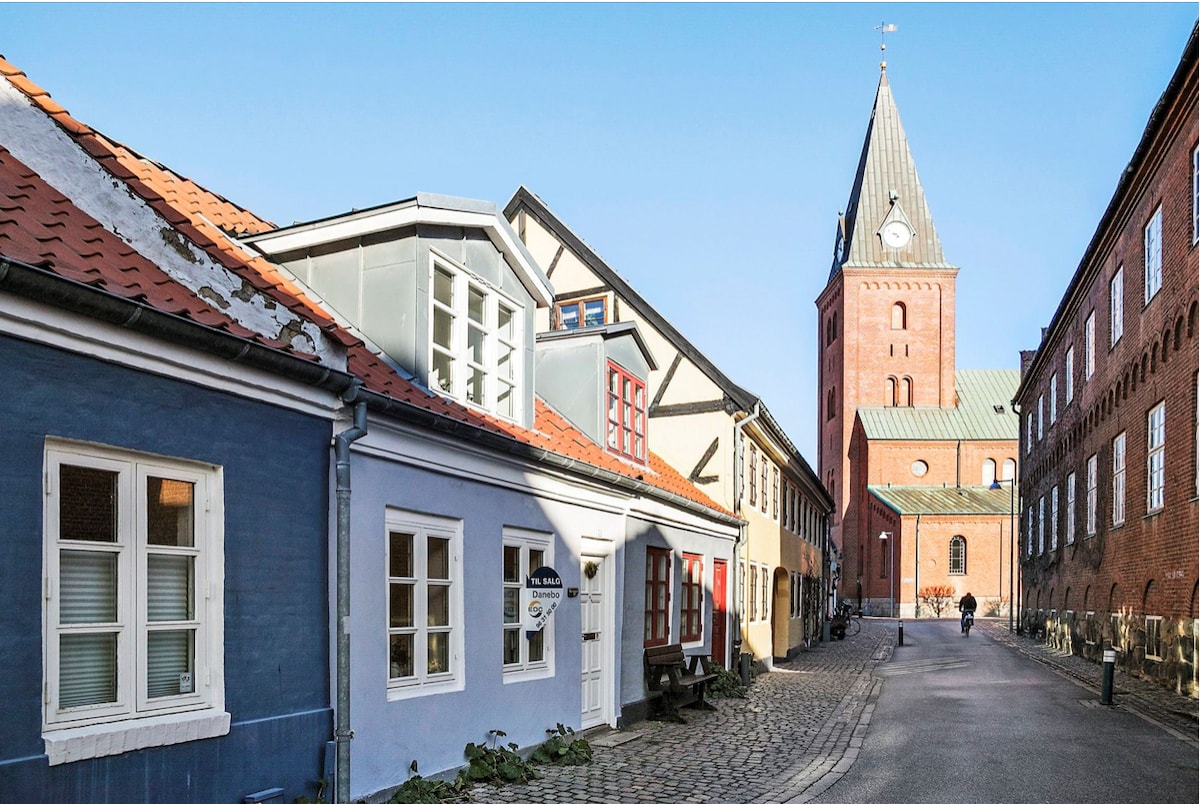 A charming alleyway features traditional buildings with varied façades, including a blue house with white windows. An impressive church tower rises in the background, showcasing its distinct architectural style. Cobblestone streets are lined with greenery, offering a picturesque view of the old town.