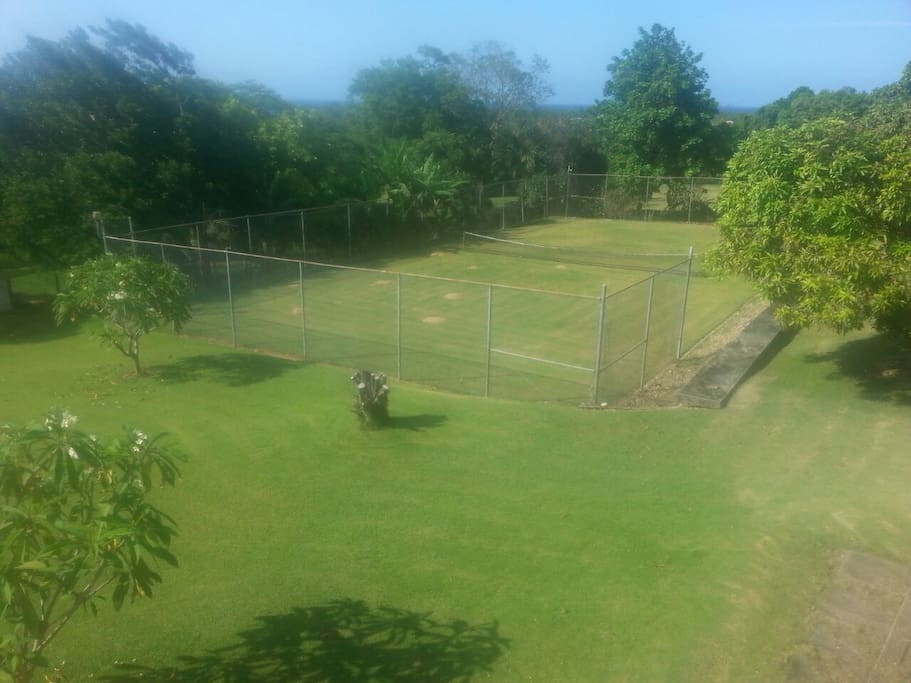 Tennis Court/Landscape Garden