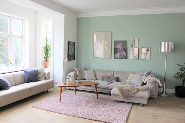 Big, lovely and open design house in Copenhagen