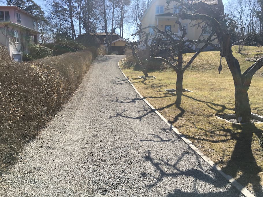 Driveway