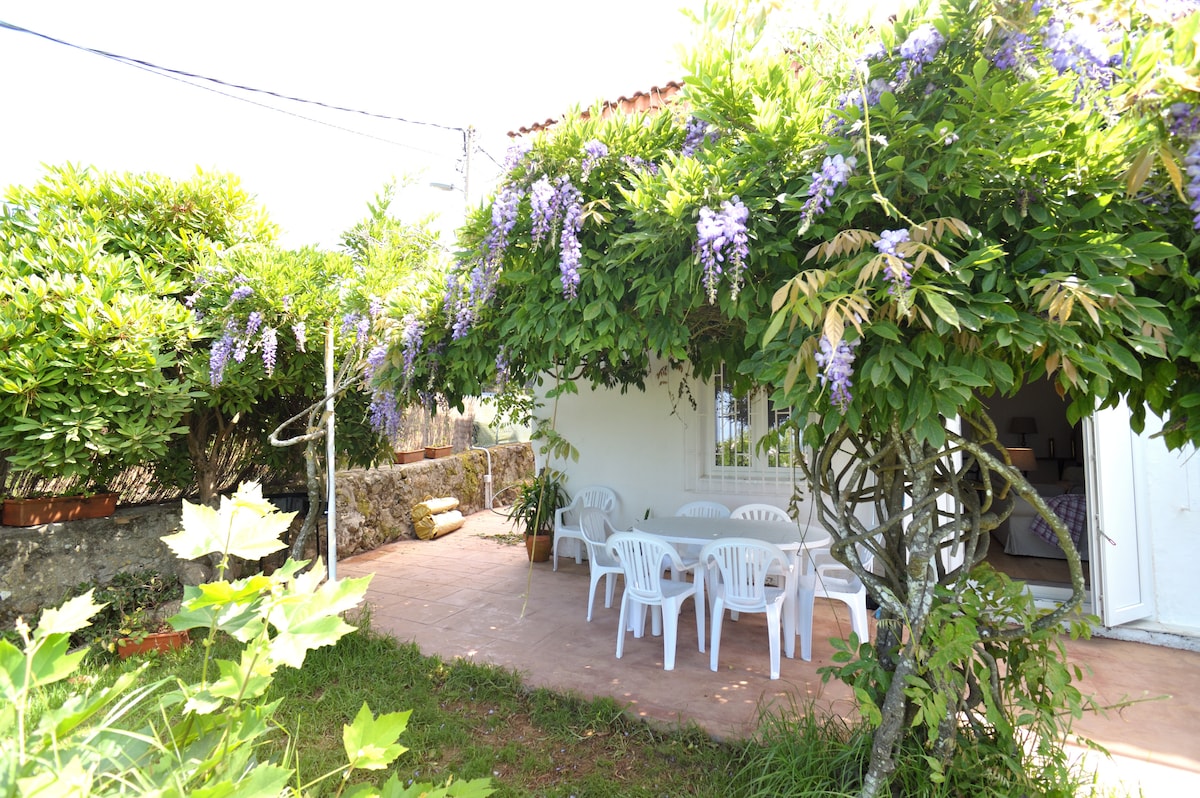 A shaded outdoor terrace is adorned with vibrant wisteria draping overhead. A white table and several chairs are positioned neatly beneath the foliage, creating an inviting space for dining or gatherings. Surrounding greenery adds a touch of nature to the setting.