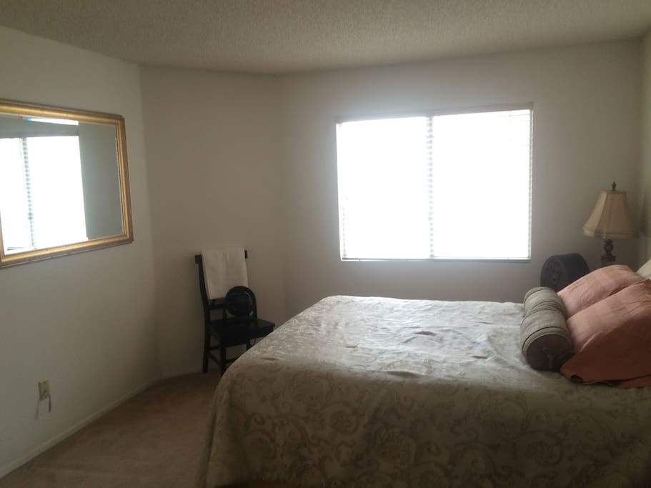 Nicely Lit, Spacious Bedroom with Queen Size Bed