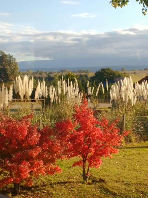 vista de la sierra en otoño desde el interior de la casa