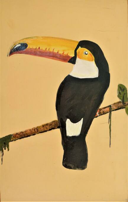 la chambre Toucan