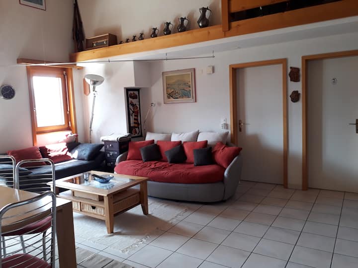 Beautiful Anzère, Switzerland duplex Apartments for Rent in Ayent