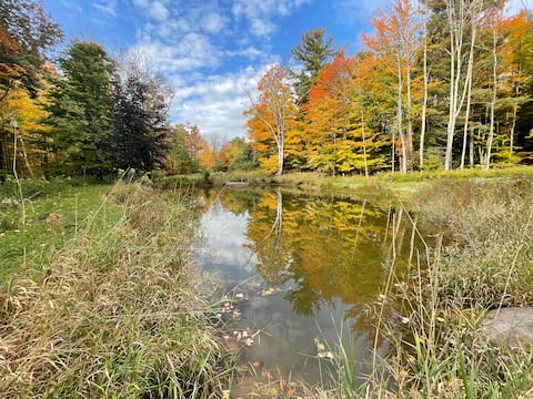 Fox & Quail: views, pond, hot tub, hike, ski, swim