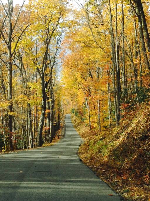 The road to our house!