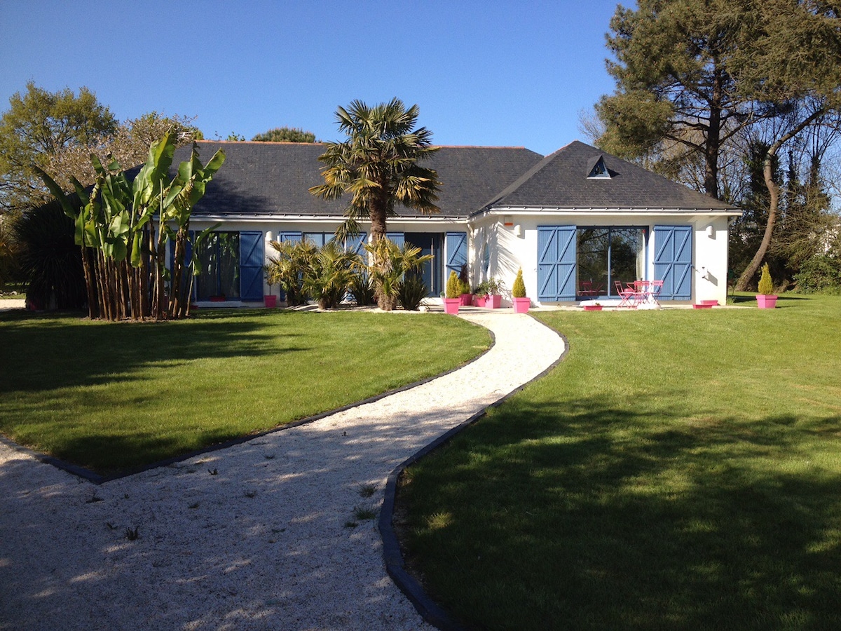 A charming house is set amidst a lush garden featuring tall palm trees and vibrant green shrubs. A well-maintained pathway leads to the entrance, framed by pink flower pots. Large windows and blue shutters enhance the inviting facade, reflecting the serene surroundings.