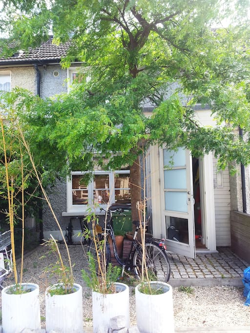 Front Garden with potted bamboos and bikes