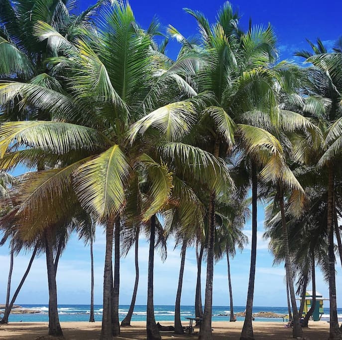 Escambron beach is only 5 blocks away!