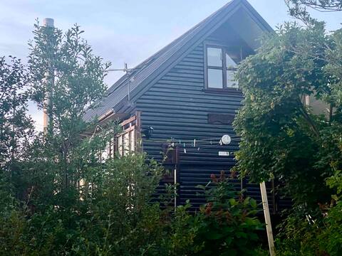 Forest Hut near Reykjavík