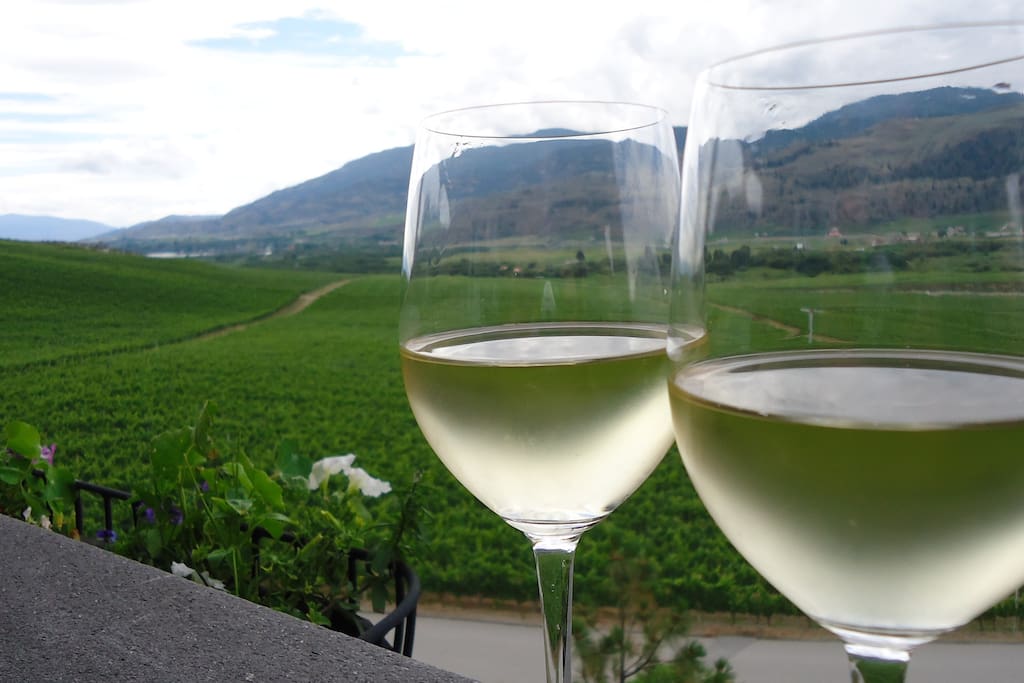 Over 40 wineries are within 20 minutes of Casa Osoyoos
