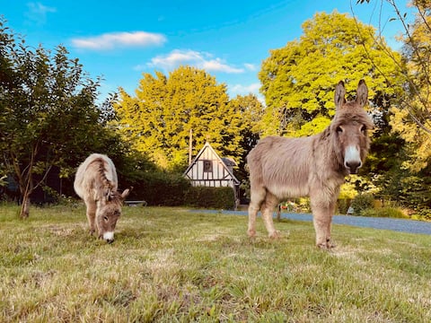 detached house/ cerza/ foosball / fenced