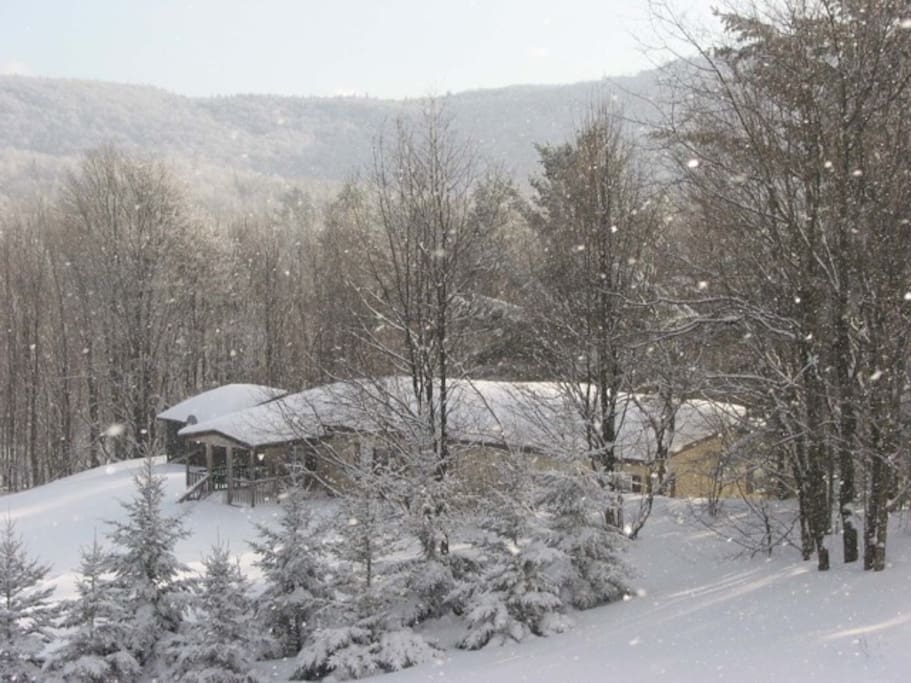 Winter scene of house
