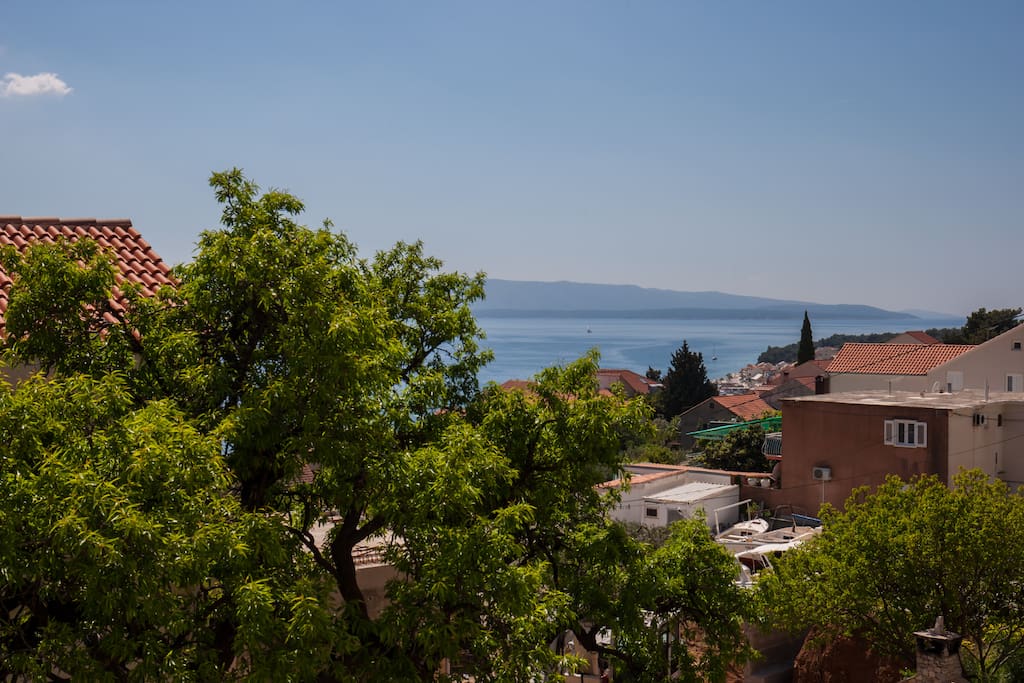 the terrace view