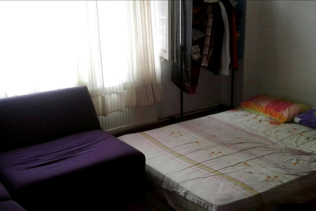 Both living and sleeping room