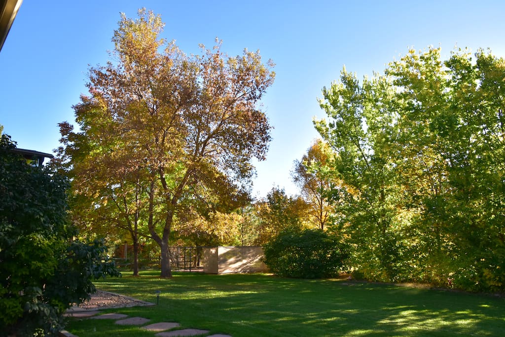 ANOTHER VIEW OF BACK YARD IN THE FALL