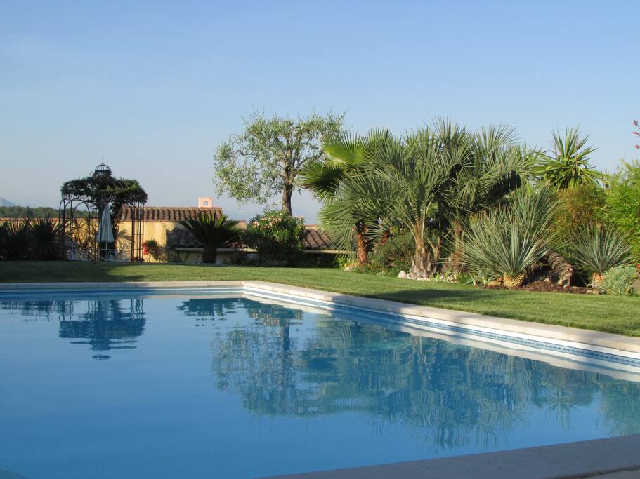 Piscine et jardin exotique
