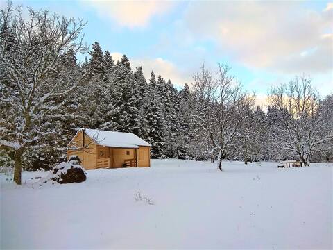 Wood Cabin by the River | for Nature Lovers