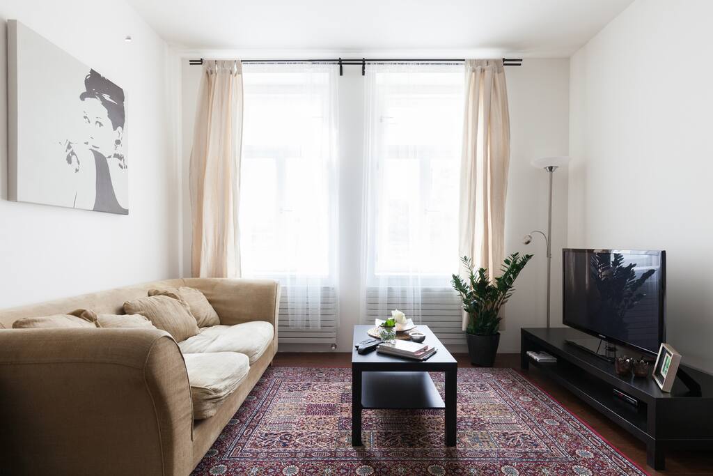 Living room with TV and internet wi-fi connection
