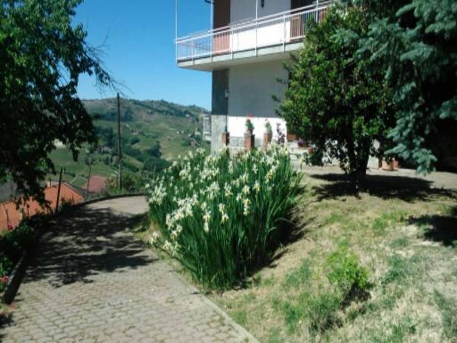 Scorcio del giardino